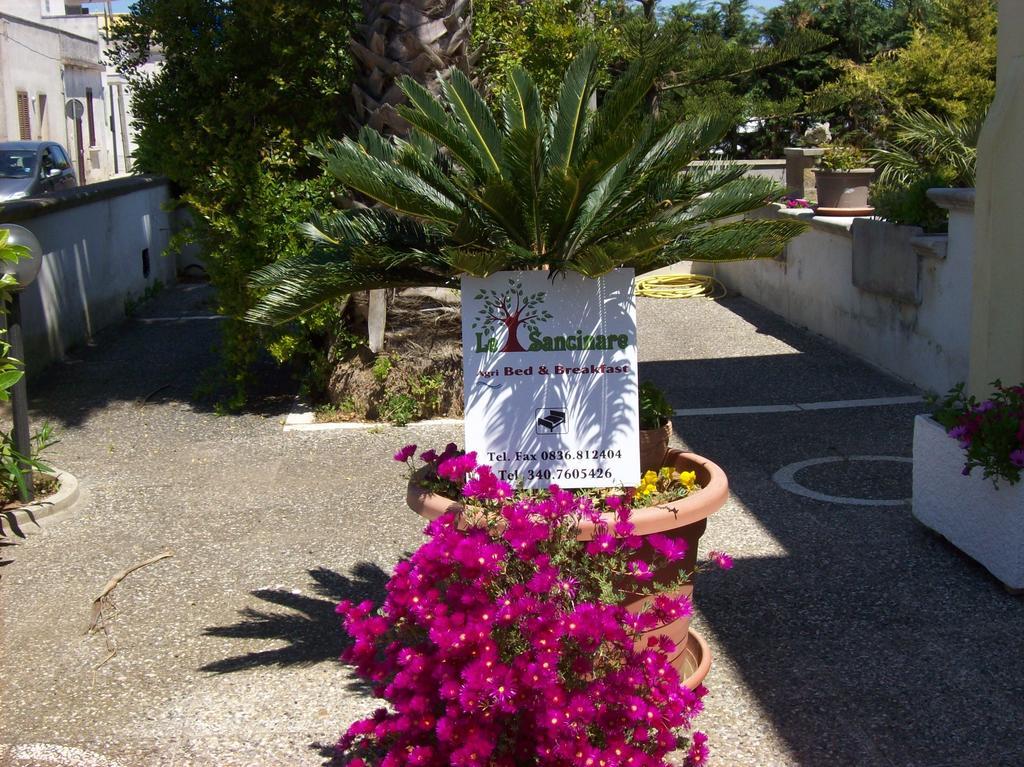 Otranto Le Sancinare Bed & Breakfast Casamassella Exterior photo